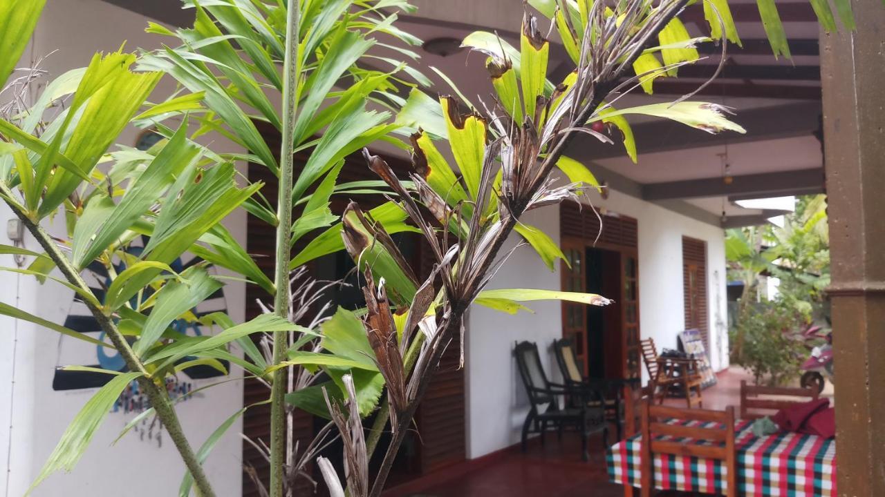 Julie Guest House Tangalle Exterior foto